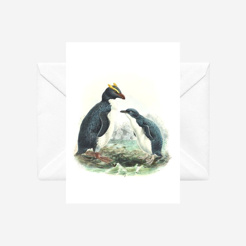 Johannes Keulemans - Cards - Fiordland Crested Penguin - Tawaki and Little Penguin - Korora - 6 Pack