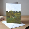 Cards - Aotearoa Dusk - 6 Pack