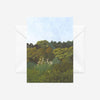 Cards - Aotearoa Dusk - 6 Pack
