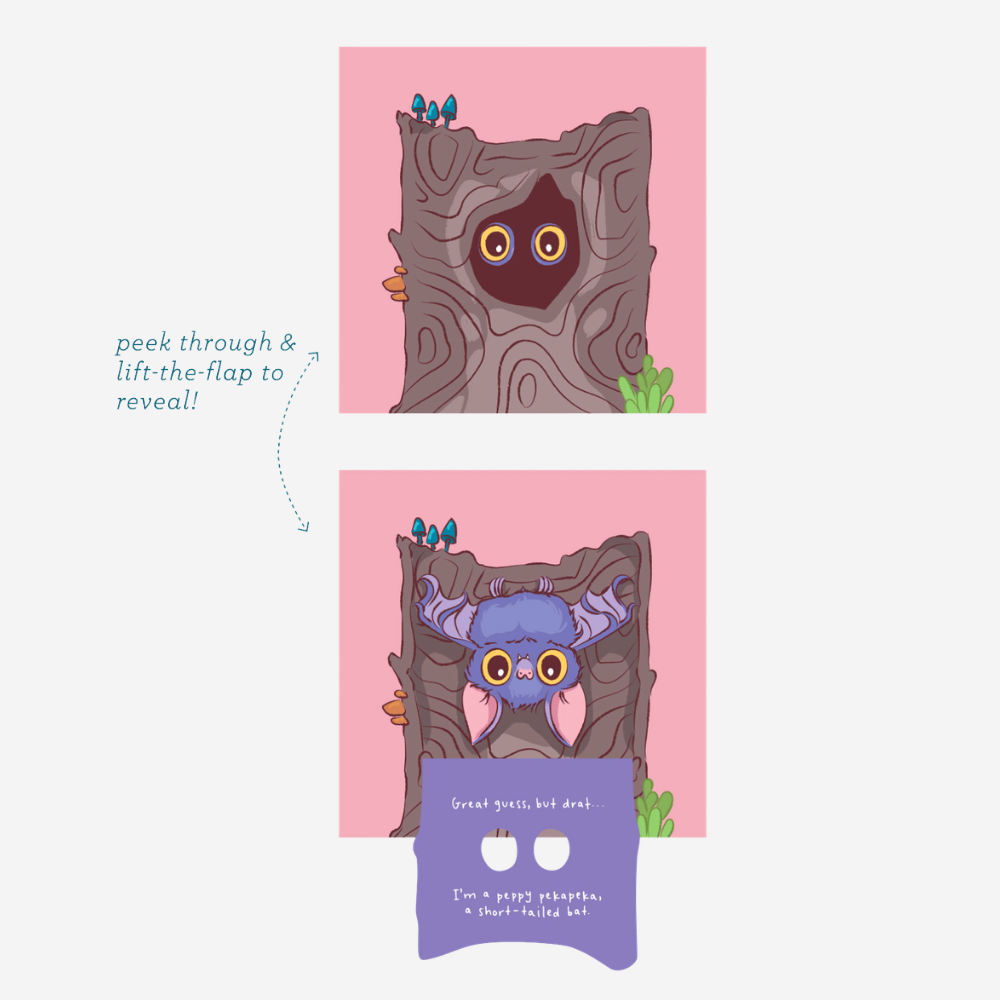 Who, Who? Ruru? Lift-the-flap Book