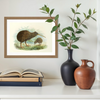 Johannes Keulemans - Print - North Island Brown Kiwi