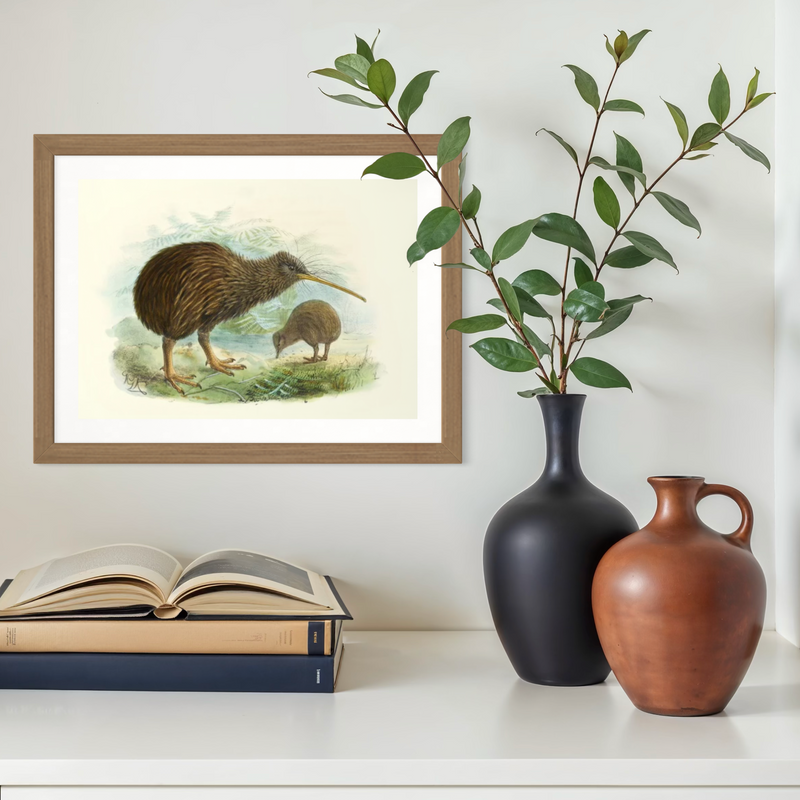 Johannes Keulemans - Print - North Island Brown Kiwi
