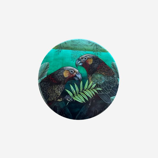 Coaster - Kaka