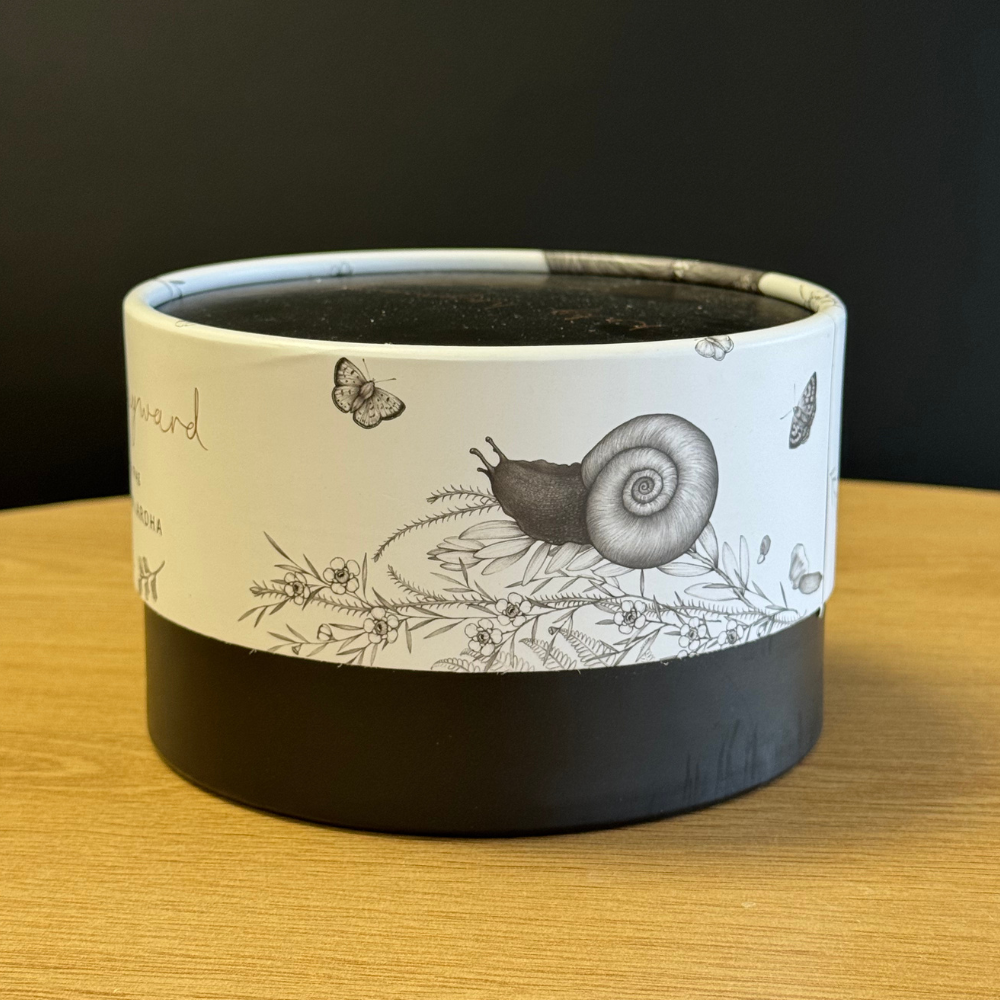 Cup - Walking with Aroha - Brown Kiwi