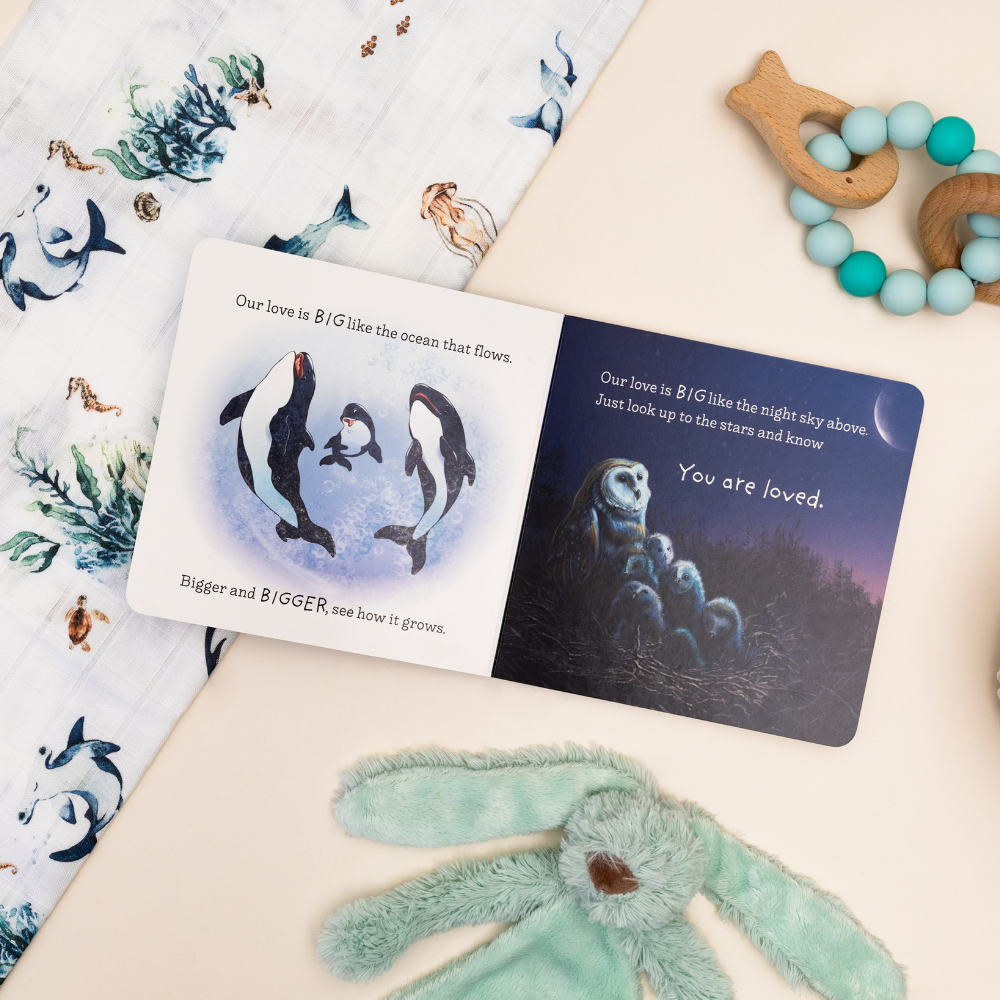 So Loved - Little Book Of Love - Board Book