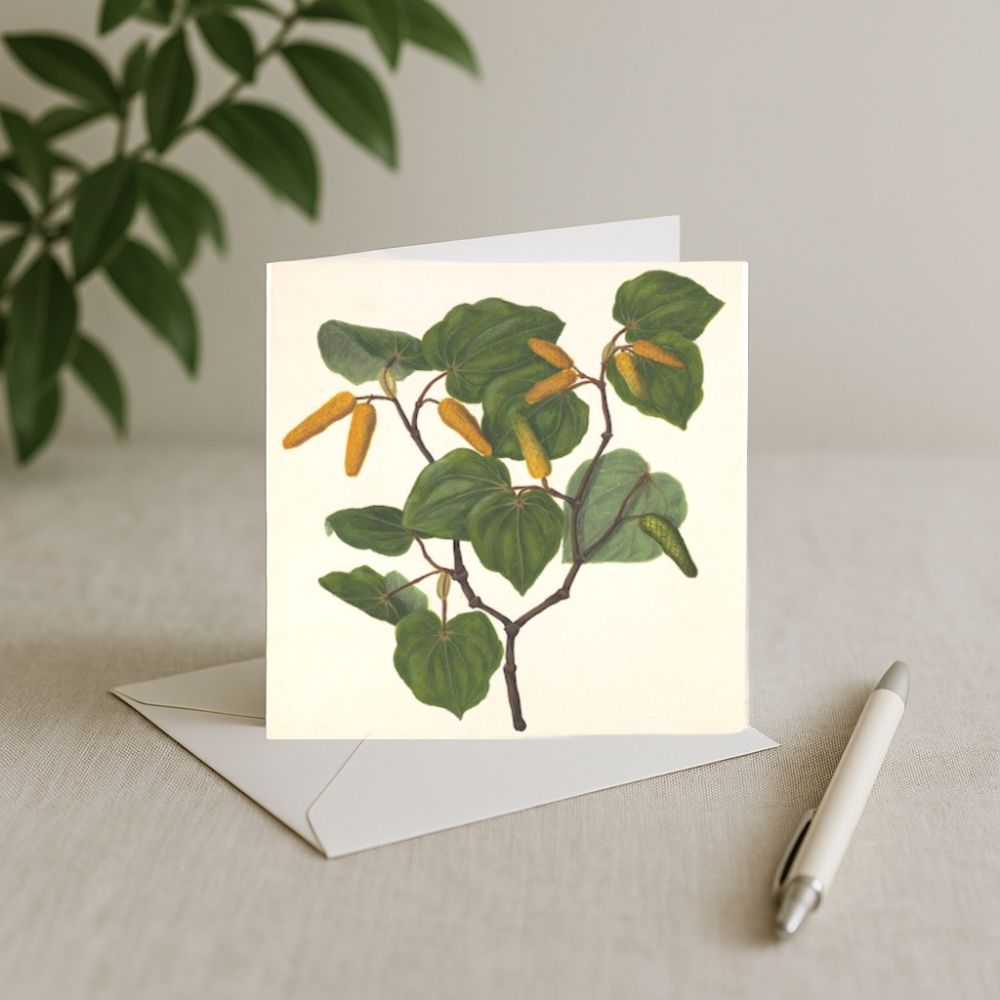 Sarah Featon - Card - Kawakawa
