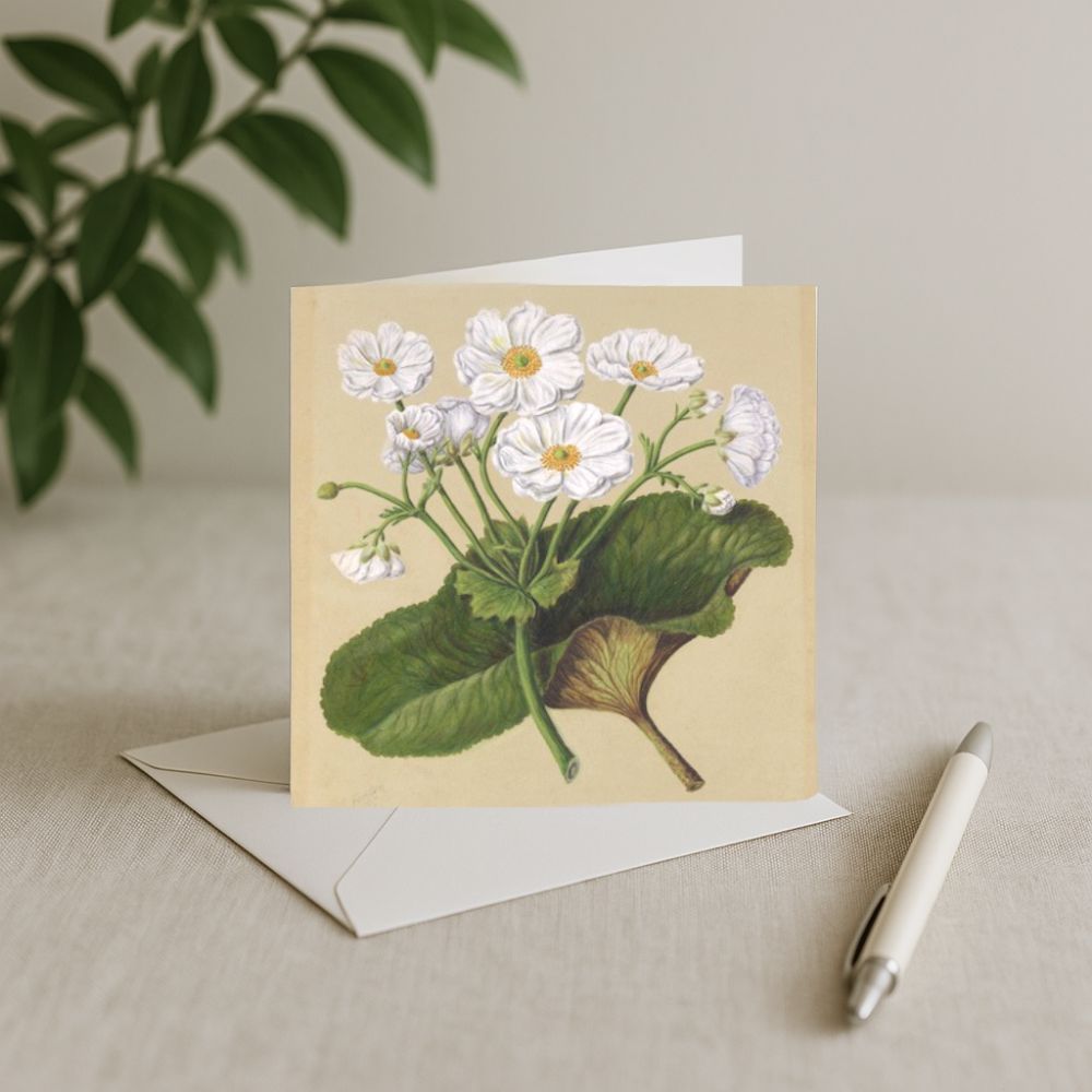 Sarah Featon - Card - The Mountain Lily