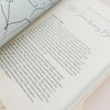 Somewhere: Women's Stories of Migration