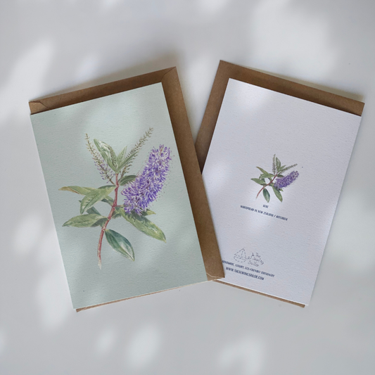 Card - Hebe Single