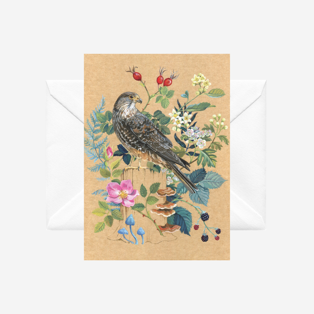 Card - NZ Falcon