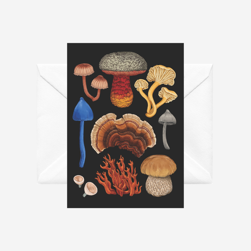Card - NZ Fungi