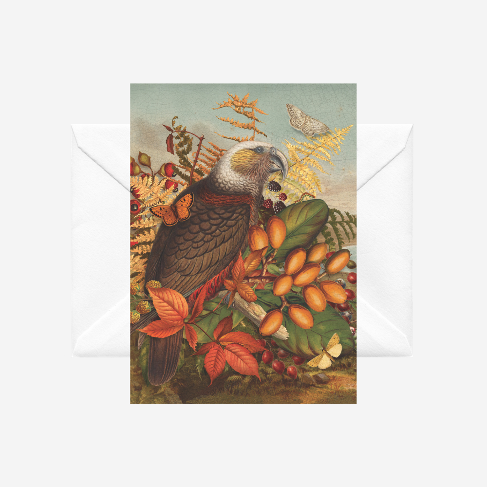 Card - Vintage Kaka