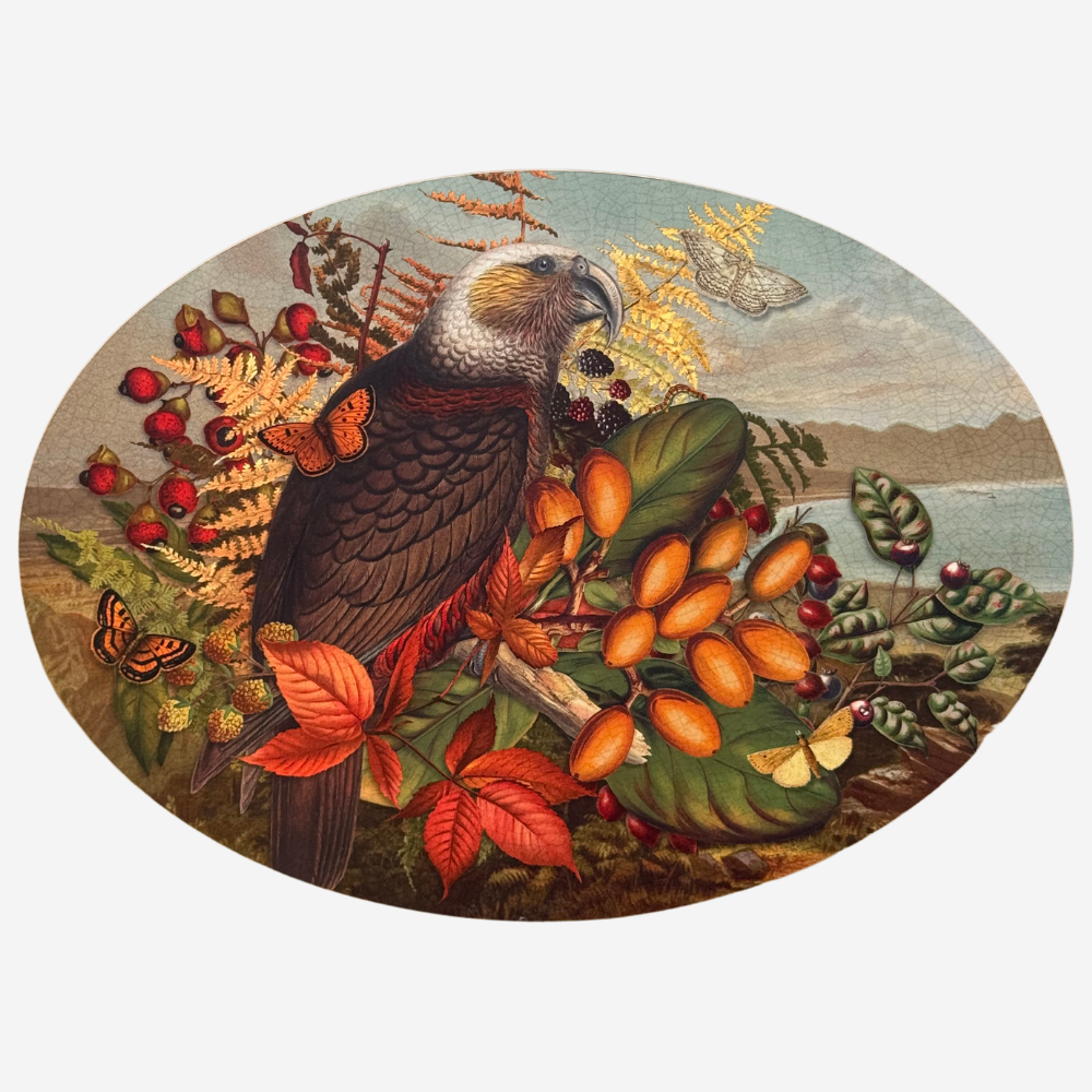 Oval Placemat - Set Of 4 - Vintage Birds