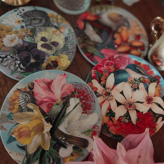 Coaster - Vintage - Owl