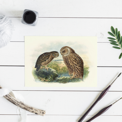 Johannes Keulemans - Cards - Morepork - Ruru and Laughing Owl - Whekau - 6 Pack