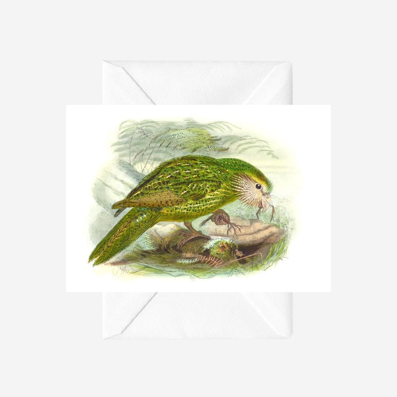 Johannes Keulemans - Cards - Kakapo - 6 Pack