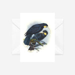 Johannes Keulemans - Cards - Huia - 6 Pack