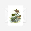 Johannes Keulemans - Cards - Bush Wren - Matuhituhi and Rock Wren - Piwauwau - 6 Pack