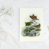 Johannes Keulemans - Cards - Bush Wren - Matuhituhi and Rock Wren - Piwauwau - 6 Pack