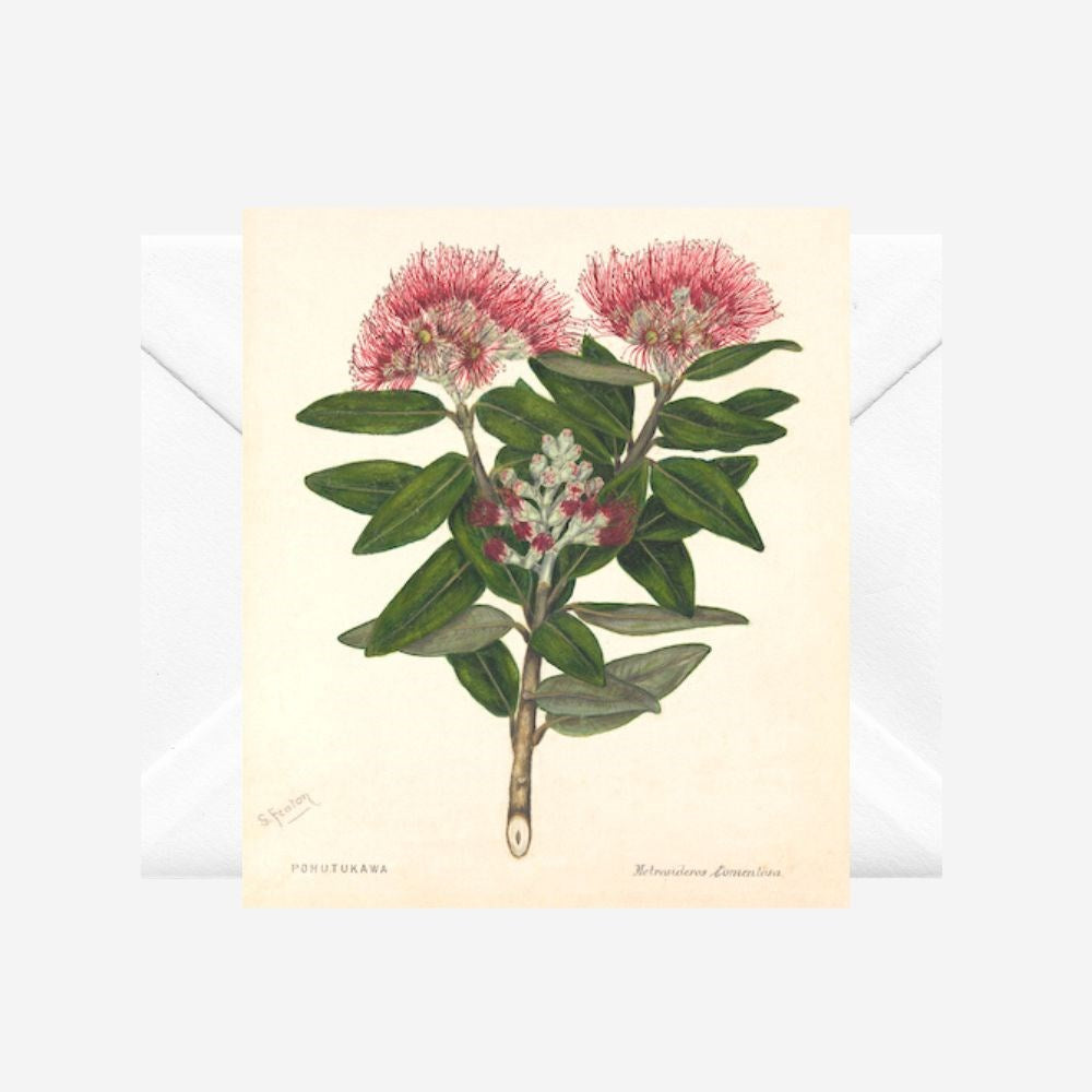 Sarah Featon - Card - Pohutukawa