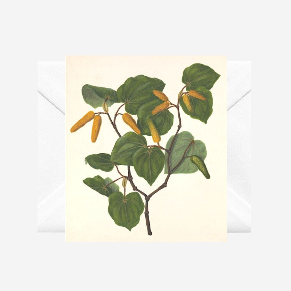 Sarah Featon - Card - Kawakawa