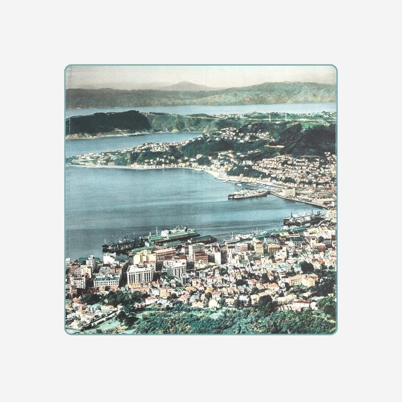 Cushion Cover - Whites Aviation - Wellington