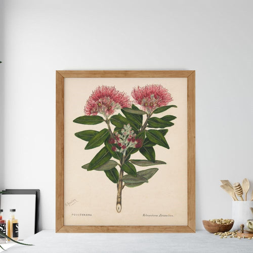 Sarah Featon - Print - Pohutukawa