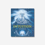 Intuition - Notebook